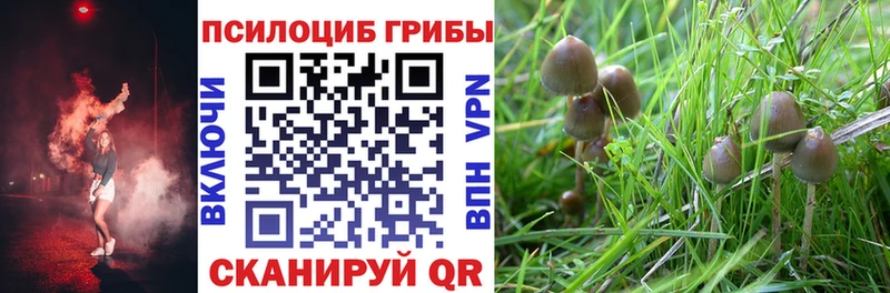 Псилоцибиновые грибы Psilocybine cubensis как найти закладки MEGA как зайти Майкоп